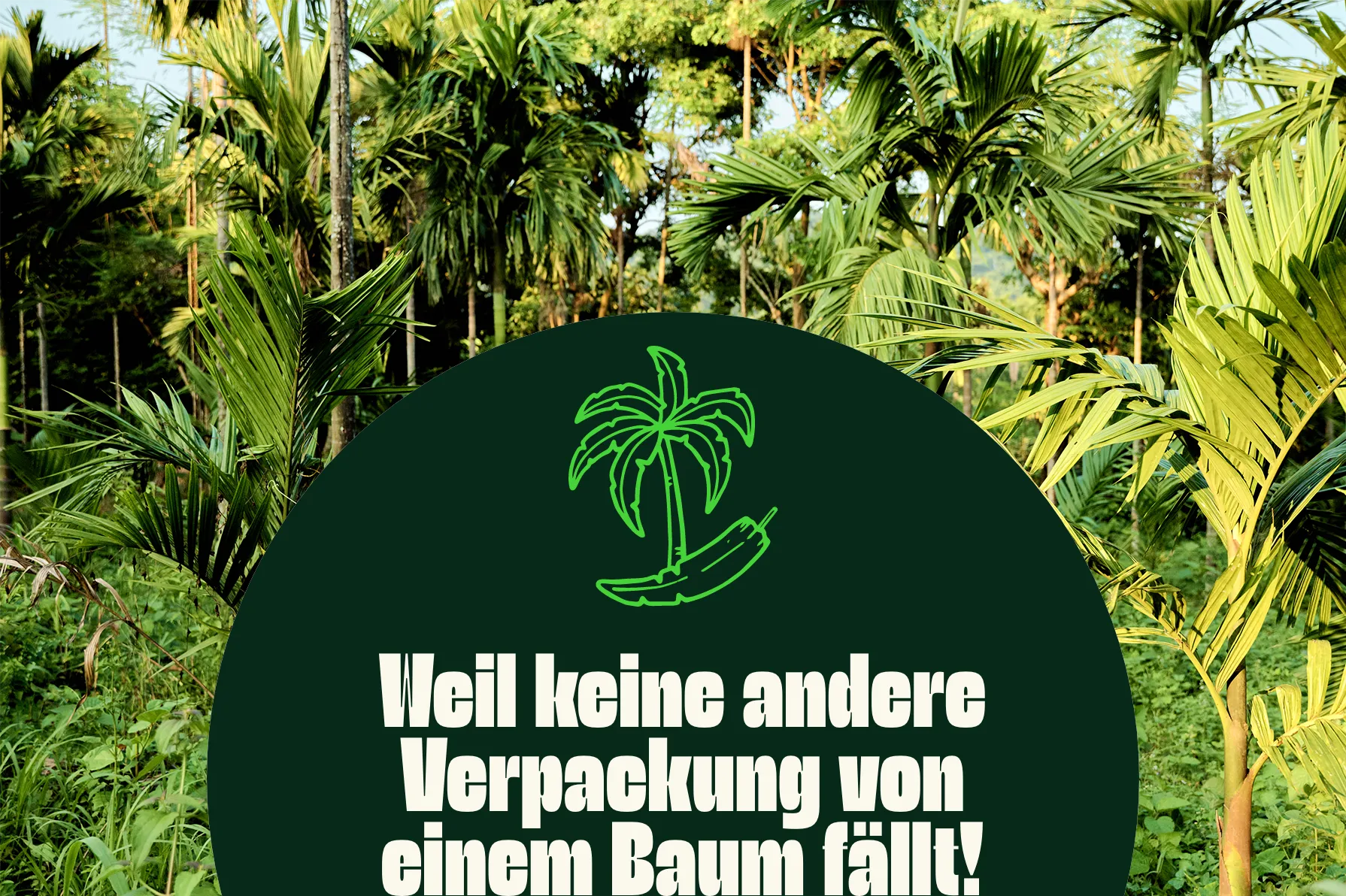 Bild von wachsenden Arekapalmen und Schriftzug Weil keine andere Verpackung von einem Baum fällt!